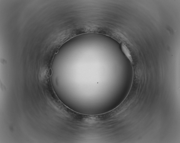 X0000090930079200708061611