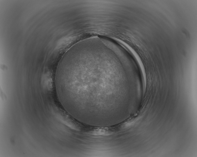 X0000090930080200708061611