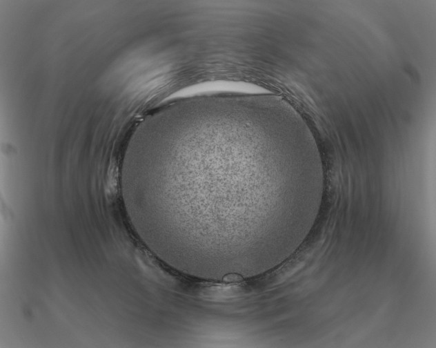 X0000090930081200708061611