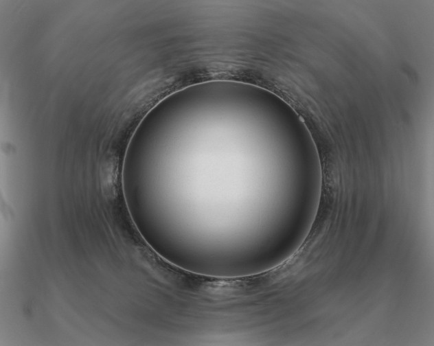 X0000090930082200708061611