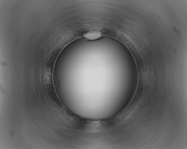 X0000090930083200708061611