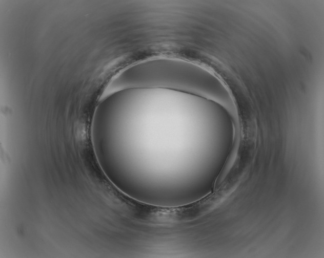 X0000090930084200708061611