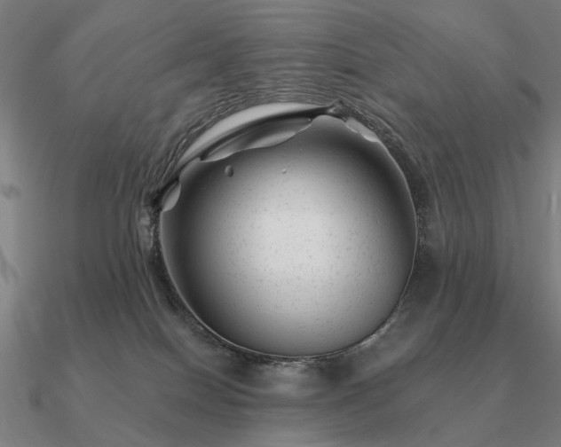 X0000090930086200708061611