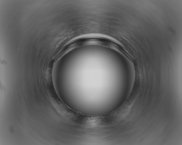 X0000090930088200708061611