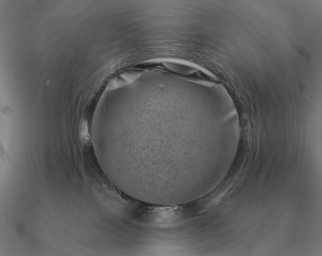 X0000090930089200708061611