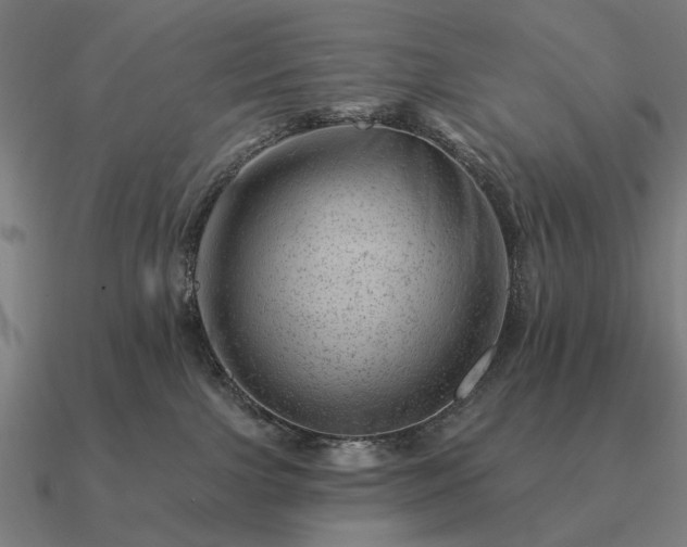 X0000090930091200708061611