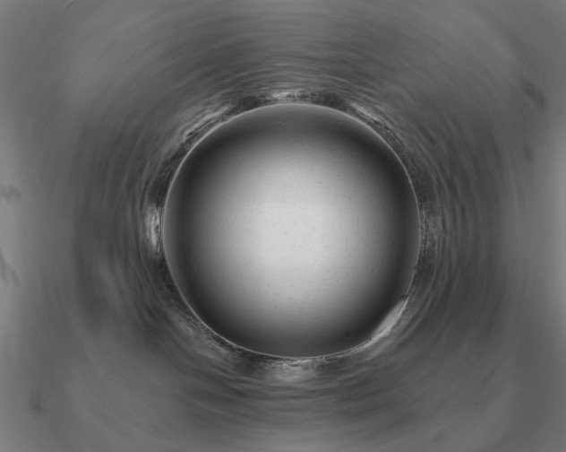 X0000090930094200708061611