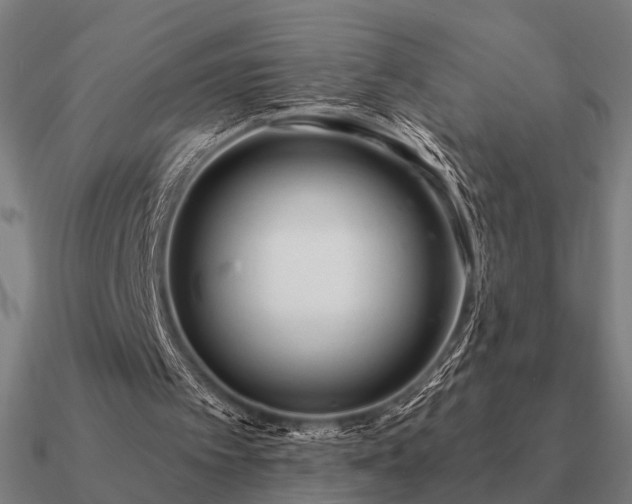 X0000090930097200708061611