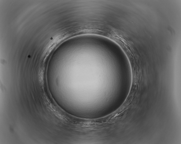 X0000090930098200708061611