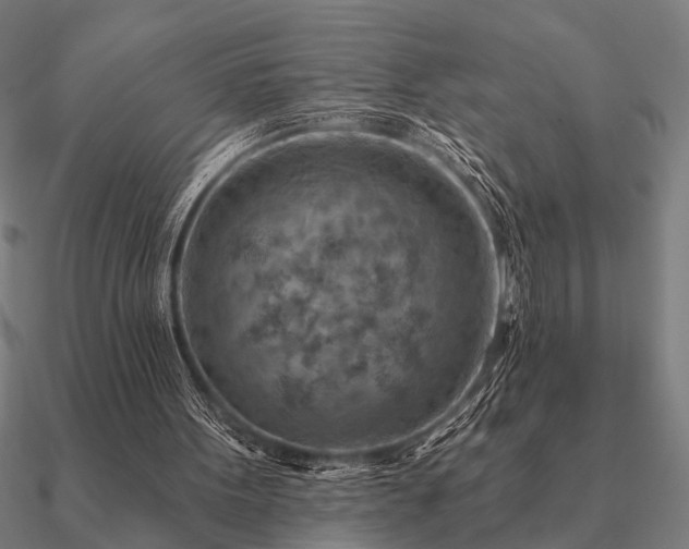 X0000090930099200708061611