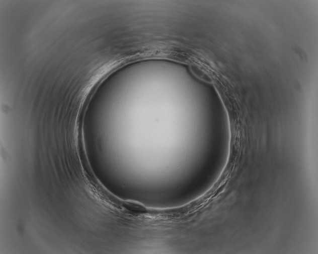 X0000090930100200708061611