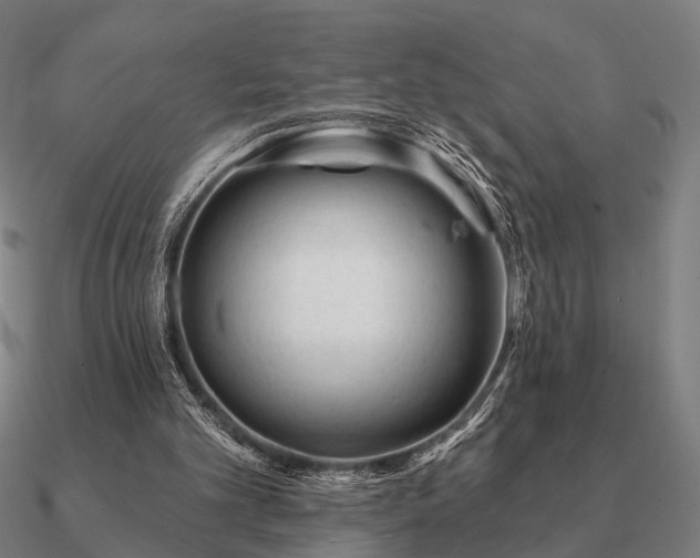 X0000090930101200708061611