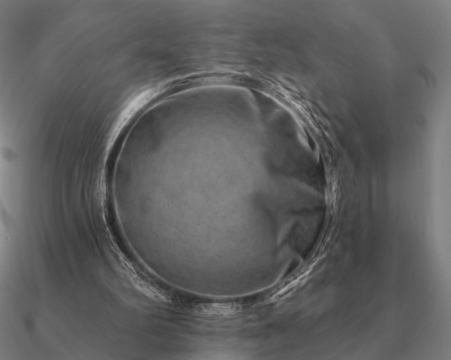 X0000090930102200708061611