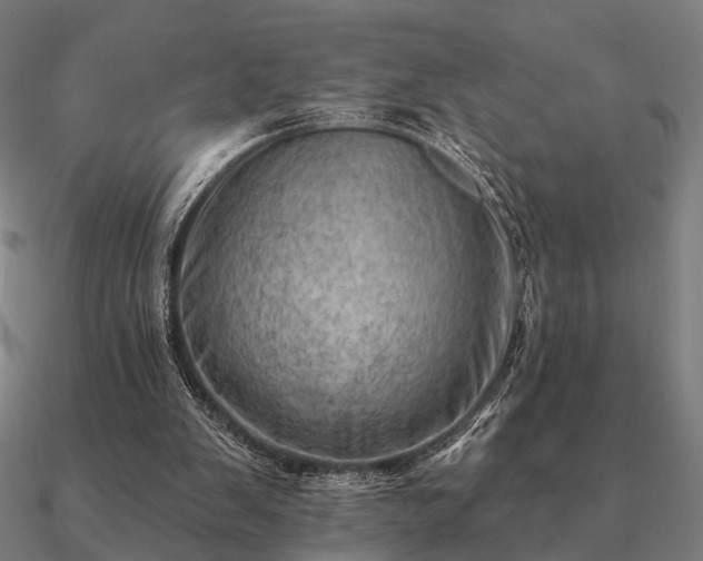 X0000090930103200708061611