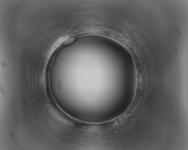 X0000090930104200708061611