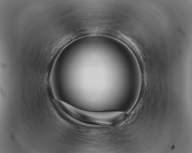 X0000090930105200708061611