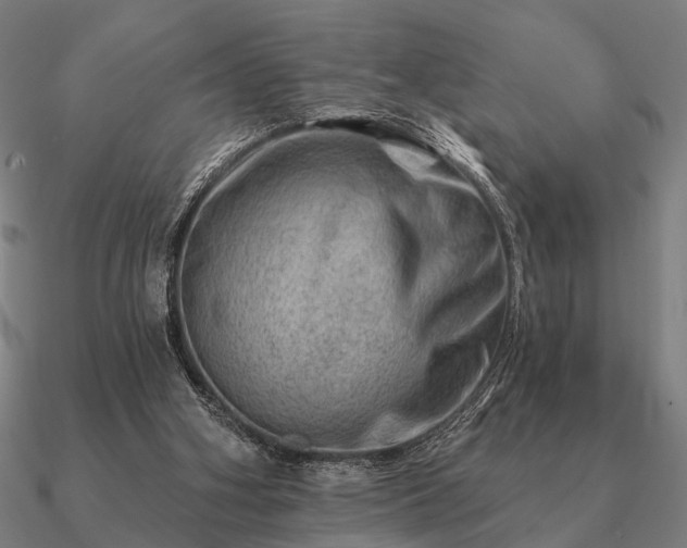 X0000090930106200708061611