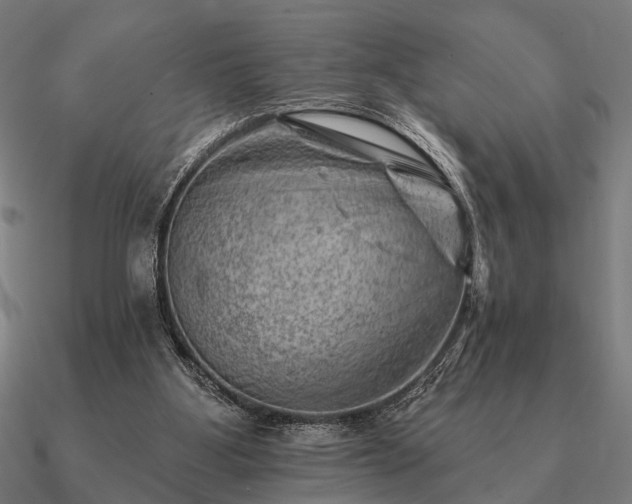 X0000090930107200708061611