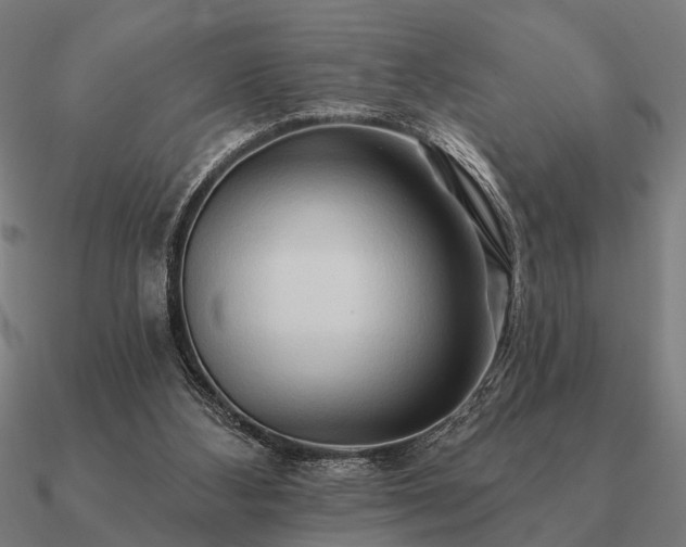 X0000090930108200708061611