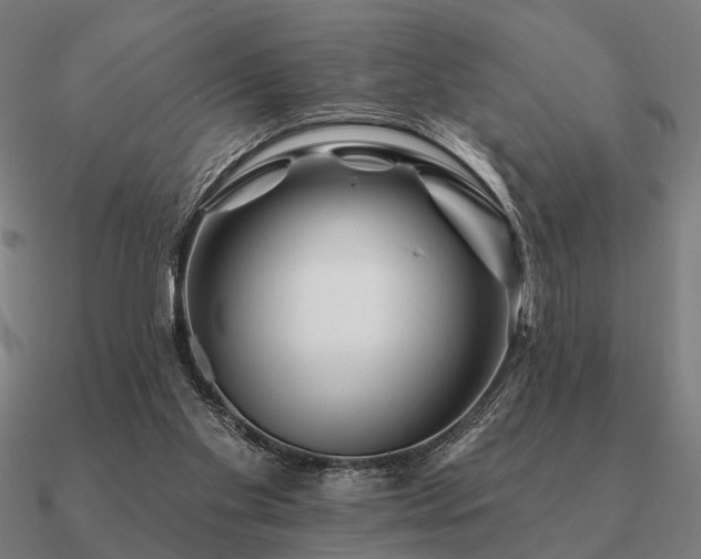 X0000090930109200708061611