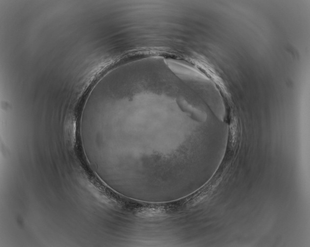 X0000090930110200708061611