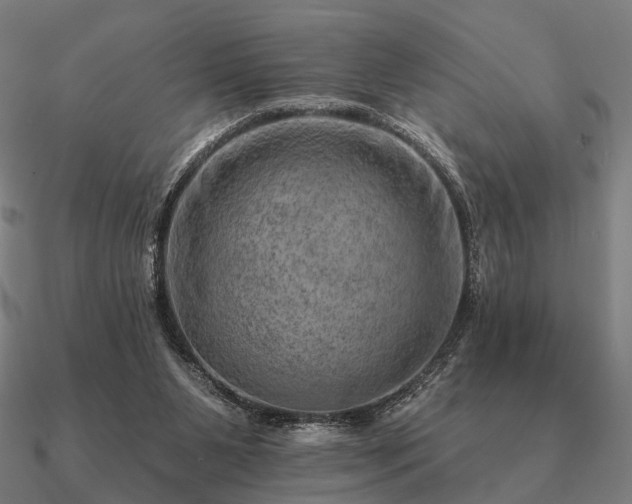 X0000090930111200708061611