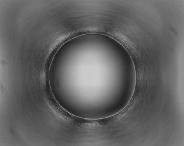 X0000090930112200708061611