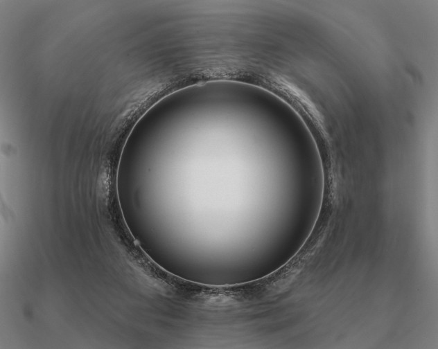 X0000090930113200708061611