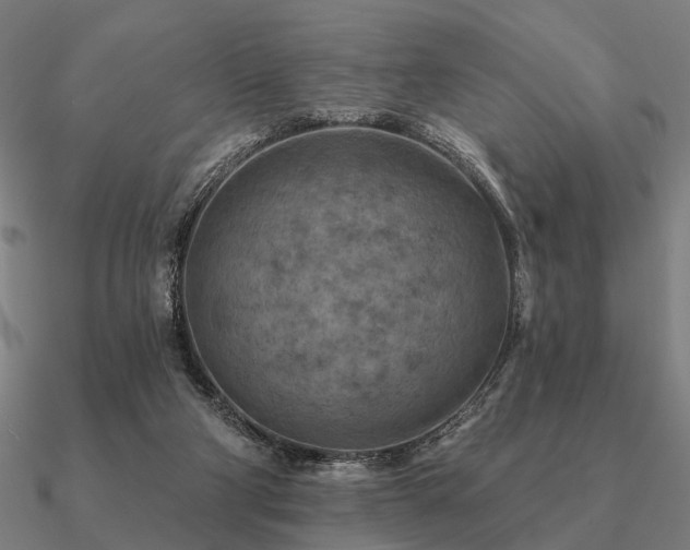 X0000090930114200708061611