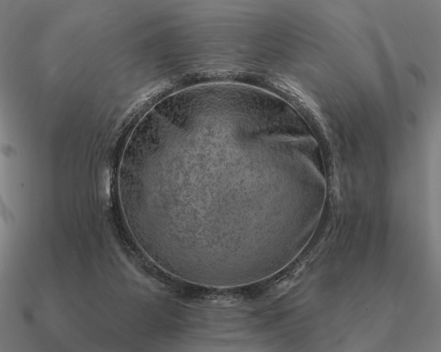 X0000090930115200708061611