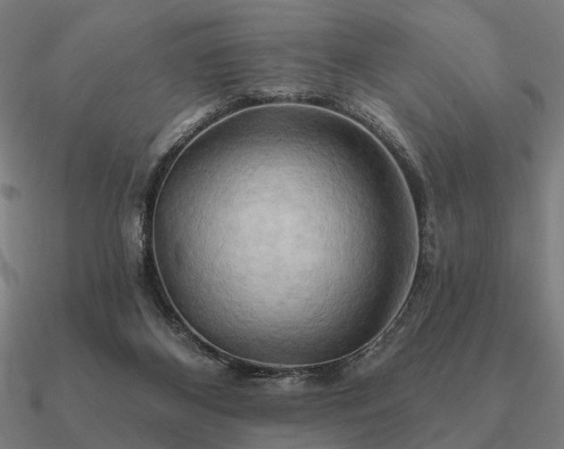 X0000090930116200708061611