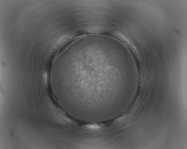 X0000090930117200708061611