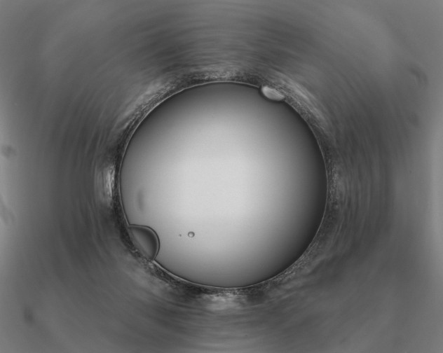 X0000090930118200708061611