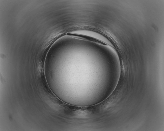 X0000090930119200708061611