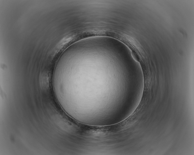 X0000090930120200708061611