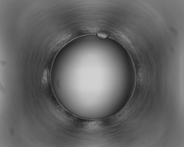 X0000090930122200708061611