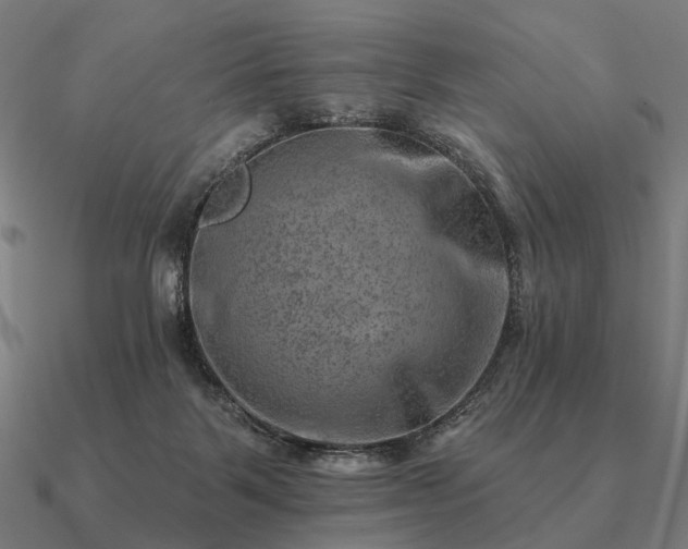 X0000090930123200708061611