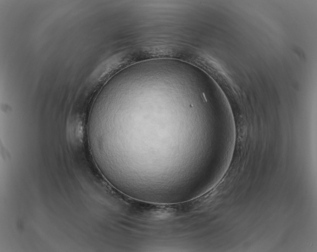 X0000090930124200708061611