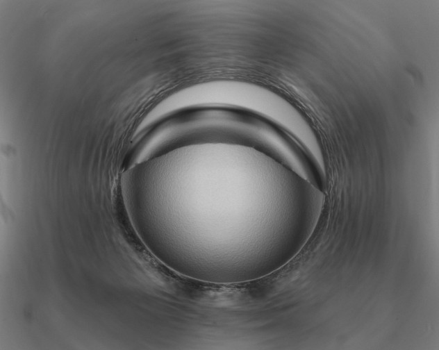 X0000090930125200708061611