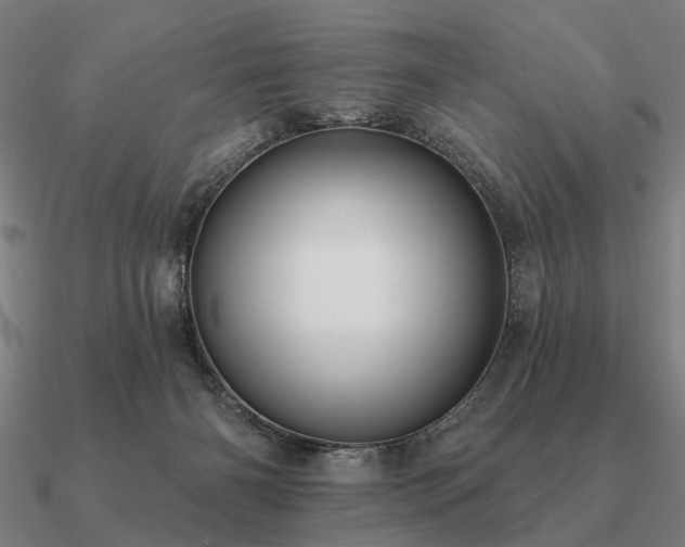 X0000090930126200708061611