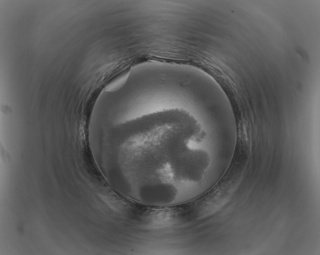 X0000090930127200708061611