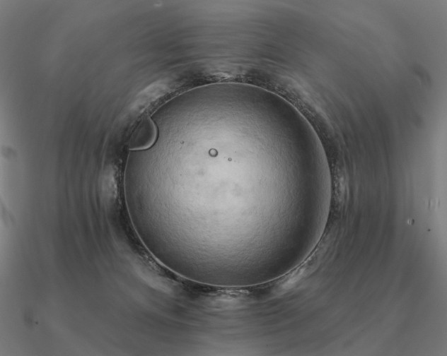 X0000090930128200708061611