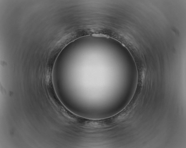 X0000090930129200708061611