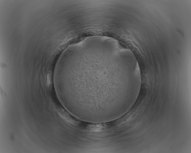 X0000090930131200708061611