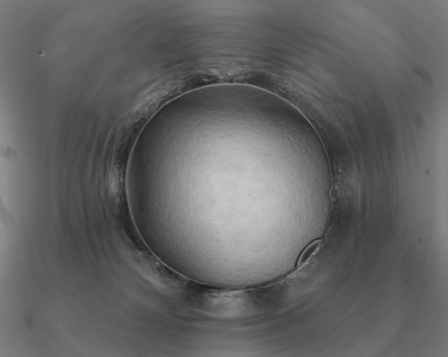 X0000090930132200708061611