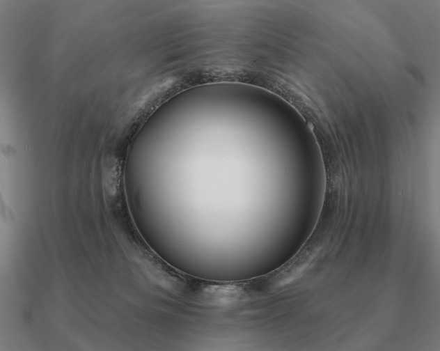 X0000090930133200708061611