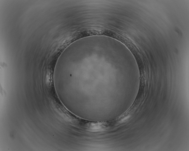 X0000090930134200708061611