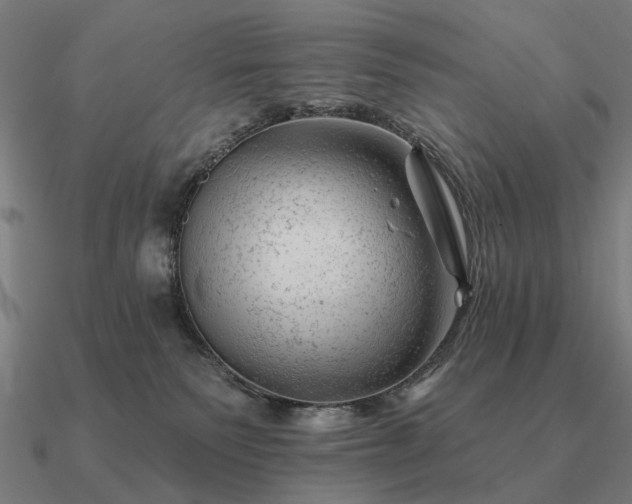 X0000090930135200708061610