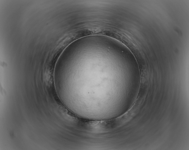 X0000090930136200708061610