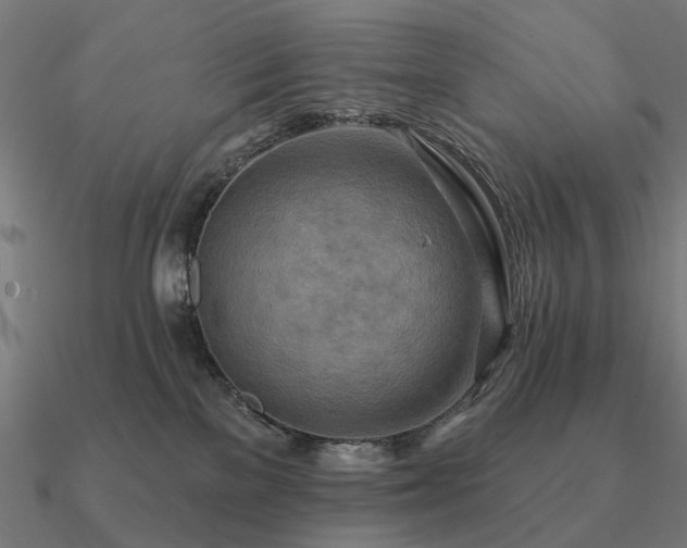 X0000090930137200708061610